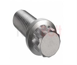 Incoloy 925 Class B 12 point screws