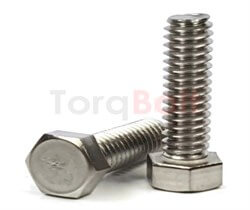 Incoloy 925 Hex Cap Screws